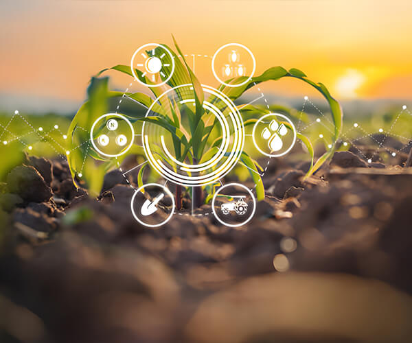 Tangshan Sanyou Group Co., Ltd